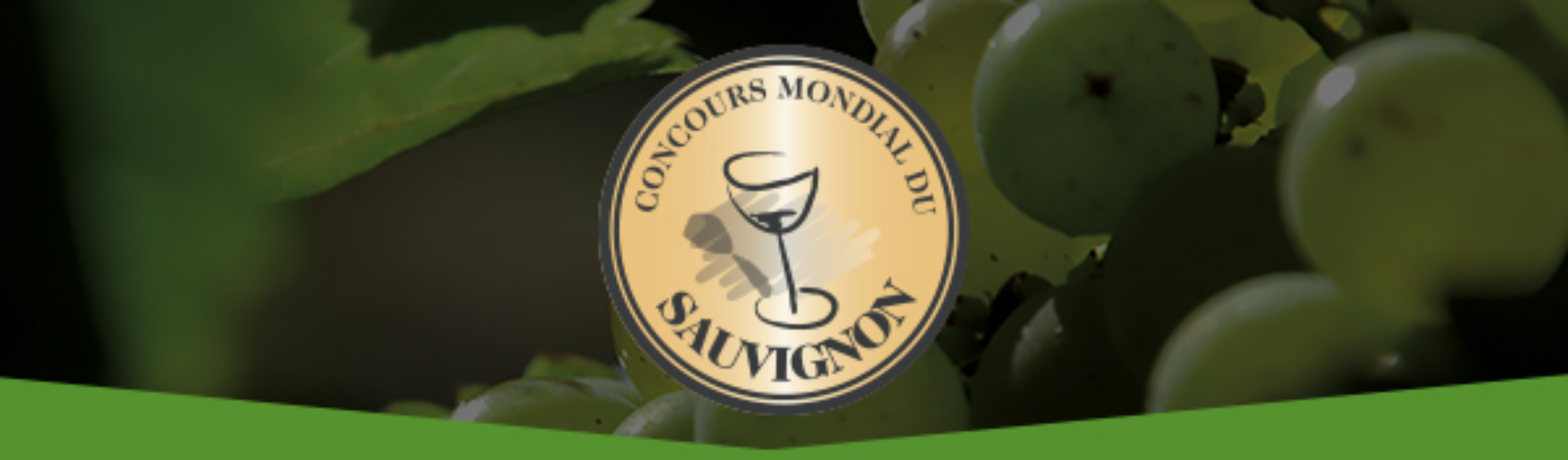 Concours Mondial du Sauvignon 2021. Tutti i vini premiati.