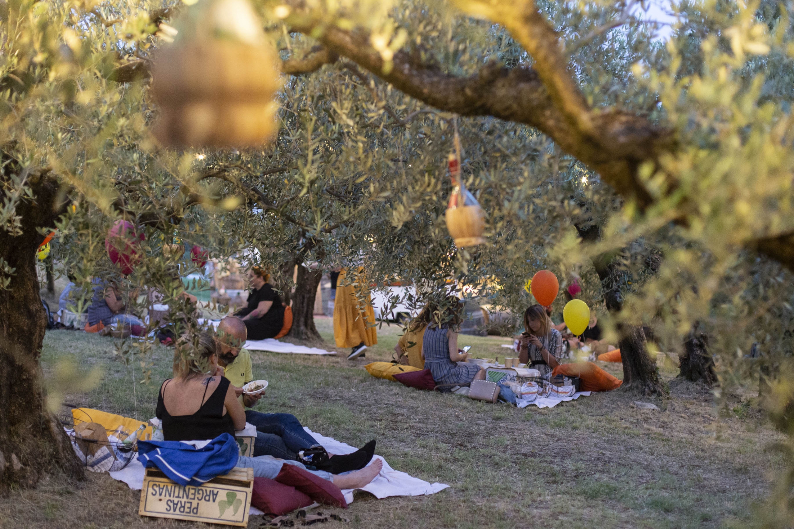 L’Azienda Agricola Terre Giunchi lancia il progetto Imbrunire: filiera cortissima ‘chilometro casa’.