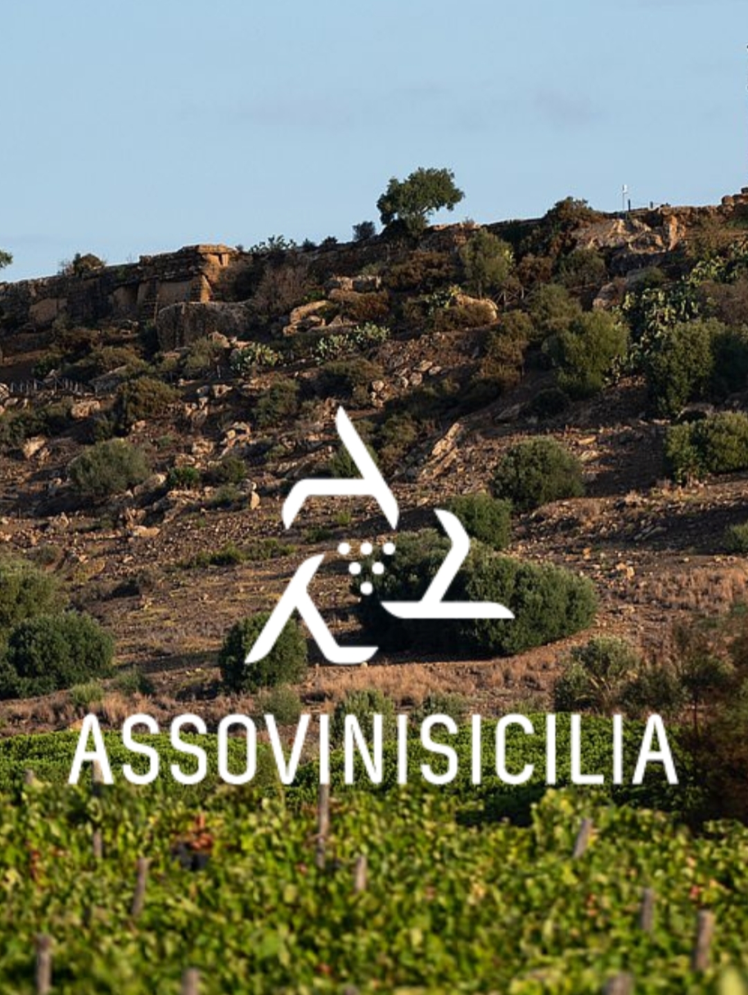 Segnali di ripresa e ruolo strategico della formazione nel futuro del settore vitivinicolo siciliano.