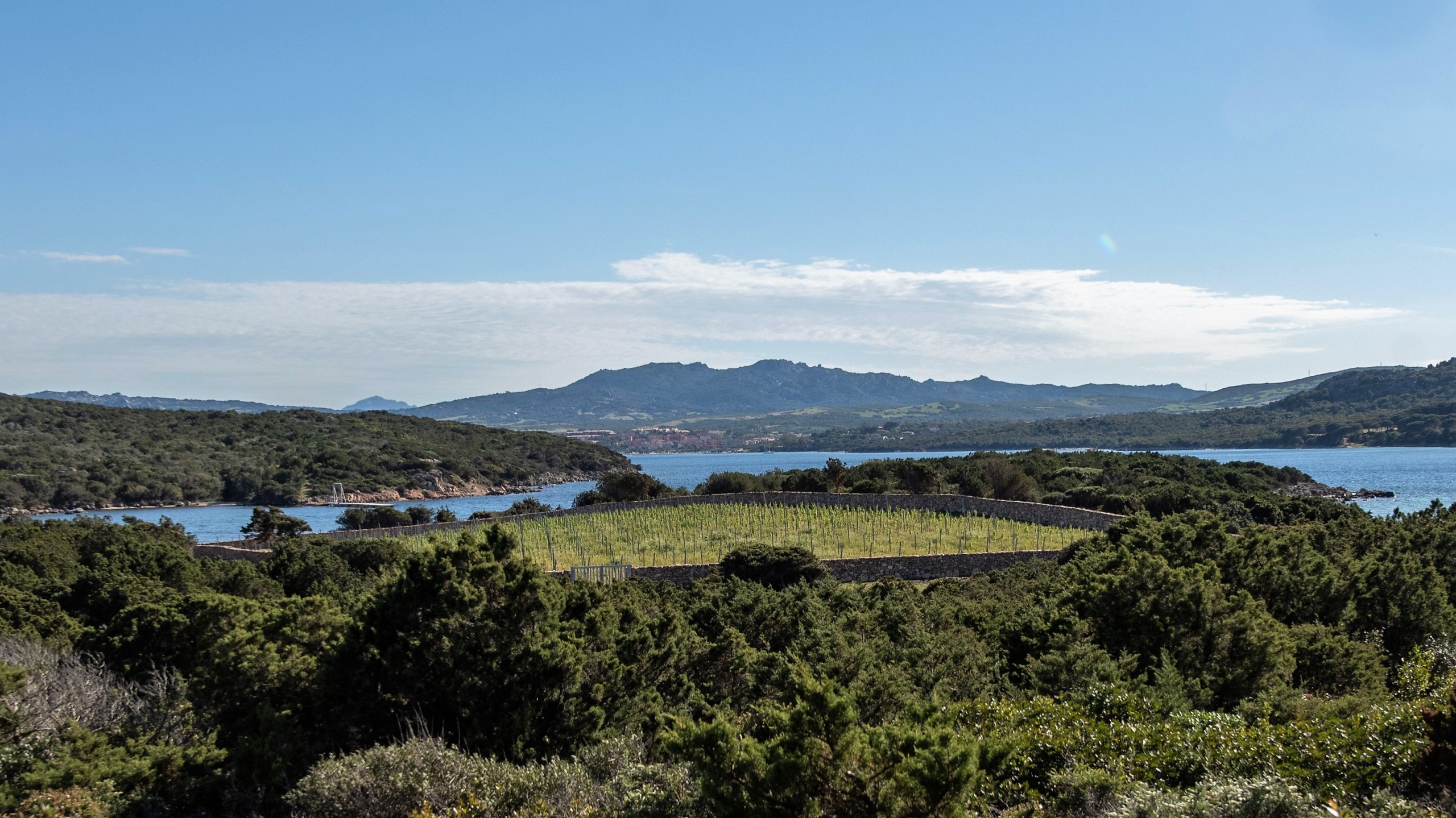 Culuccia:  un’isola della Sardegna totalmente green, dove si produce un vino speciale.