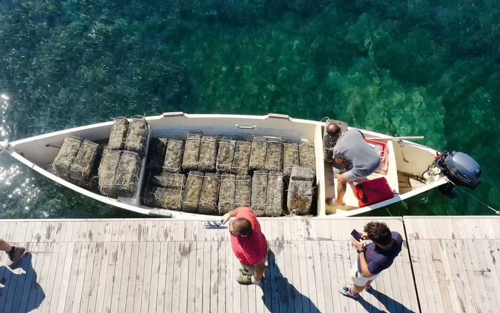 In Sardegna nasce il vermentino fatto con l’uva che ha riposato in mare.