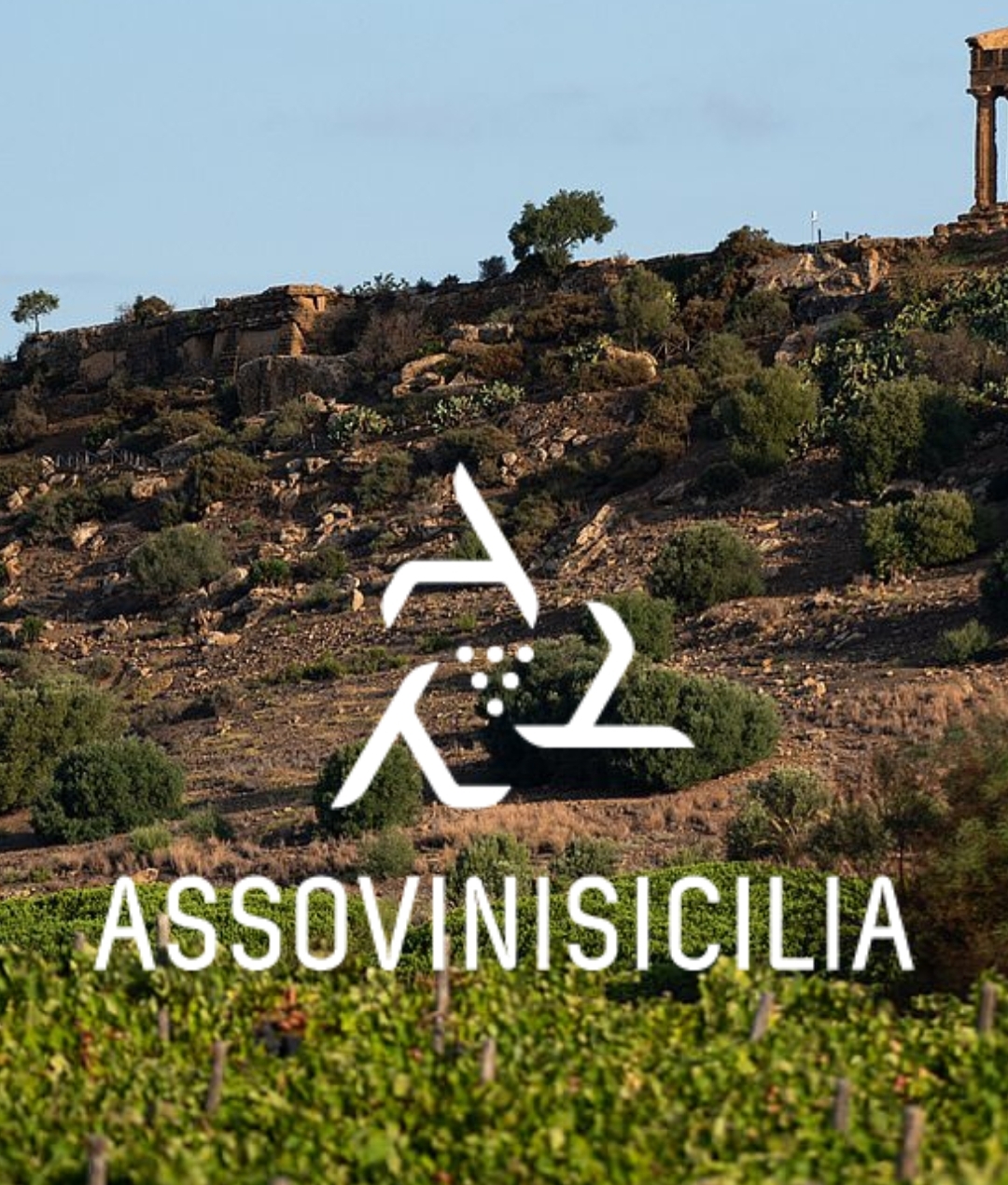 Assovini Sicilia: azioni concrete contro la violenza di genere.