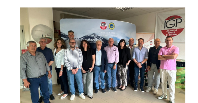 Gerardo Diana confermato presidente del Consorzio Arancia Rossa di Sicilia IGP per il triennio 2024-2027