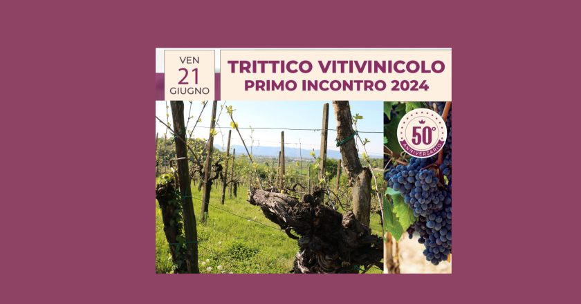 TRITTICO VITIVINICOLO 2024, UNA STORIA GIÀ VISTA: UN METEO ANOMALO FA “IMPAZZIRE” I VITICOLTORI.