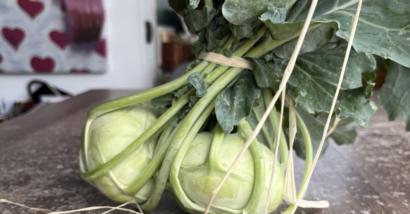 Tante buone ricette con il cavolo rapa