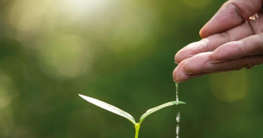 Il “BIO IN TOUR “ nella Regione Marche. La quinta tappa, sabato 5 ottobre 2024 a Urbino in occasione del BIOSALUS FESTIVAL.