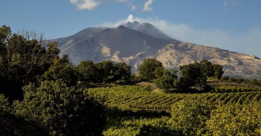 Eccellenze a confronto: l’Etna ed il Barolo si incontrano in fiera.