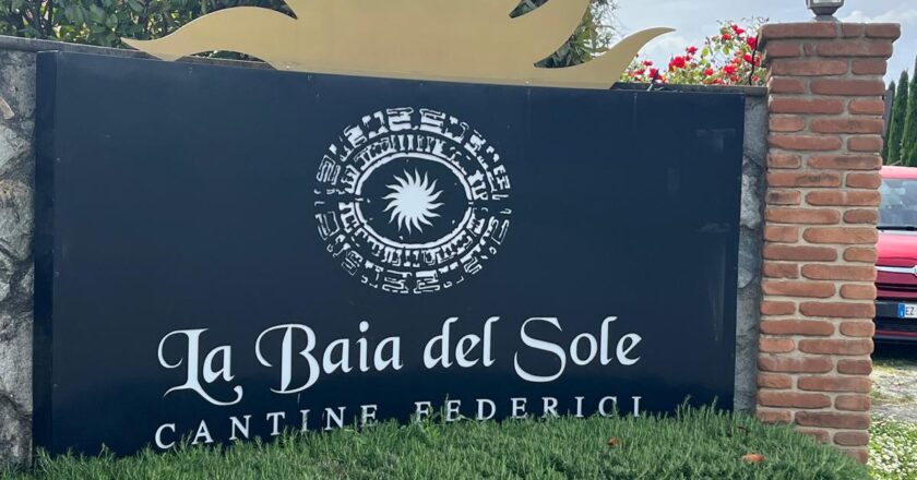 Cantine Federici: quattro generazioni di passione  per il vino nel Cuore dei Colli di Luni