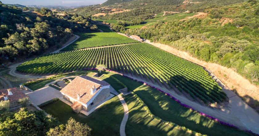 SIDDÙRA SCRIVE LA STORIA DEL VINO ITALIANO
