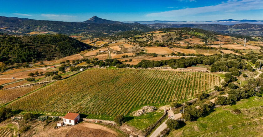 UNA CANTINA IN BARBAGIA