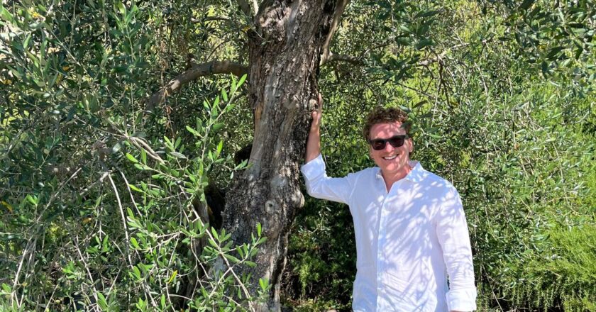 Azienda Agricola Santa Caterina: l’oro verde delle colline pinerolesi