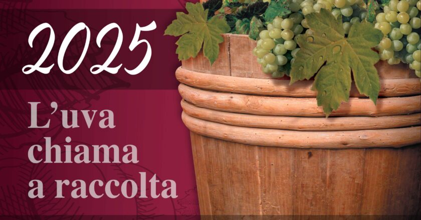 Cantine Aperte in Vendemmia 2025: dal vigneto alla tavola con le merende tipiche a km zero