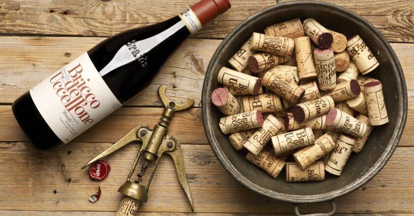 Il Bricco dell’Uccellone di Braida trionfa ancora: è il Miglior Barbera d’Italia secondo DoctorWine