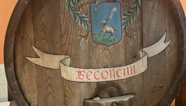 Cantina Beconcini, custodi del Tempranillo di Toscana