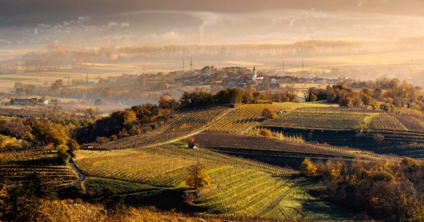 La Vinska Cesta, la strada del vino sloveno