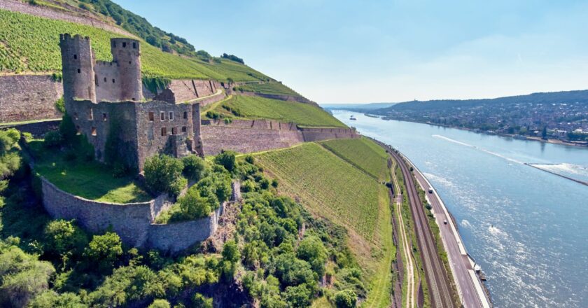 “Reno d’Oro”             Reportage nel Rheingau del Riesling