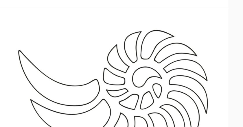 Alsazia, là dove la pietra respira piano