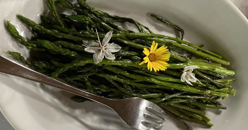L’Asparago selvatico, un gusto amaro della tradizione italiana
