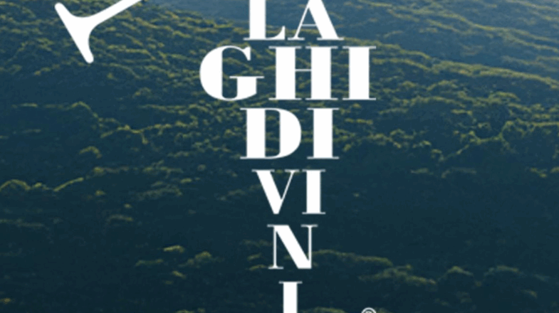 LAGHIDIVINI: CONSIDERAZIONI SULLA XV EDIZIONE