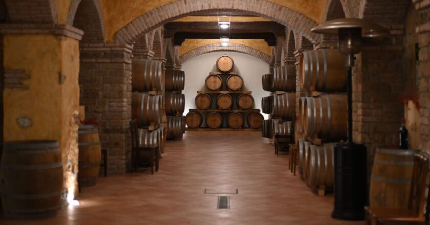 Cooperazione e qualità nei vini dell’Irpinia