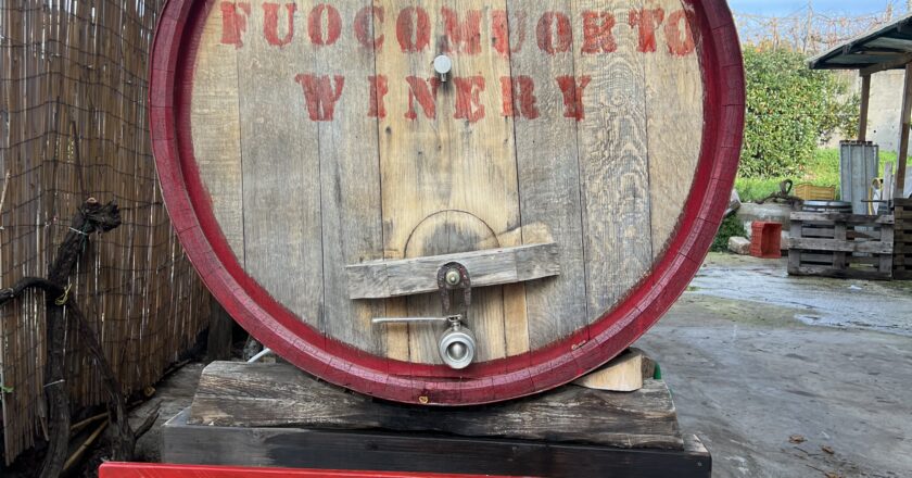 Fuocomuorto, una vigna di famiglia: una storia che viene da lontano