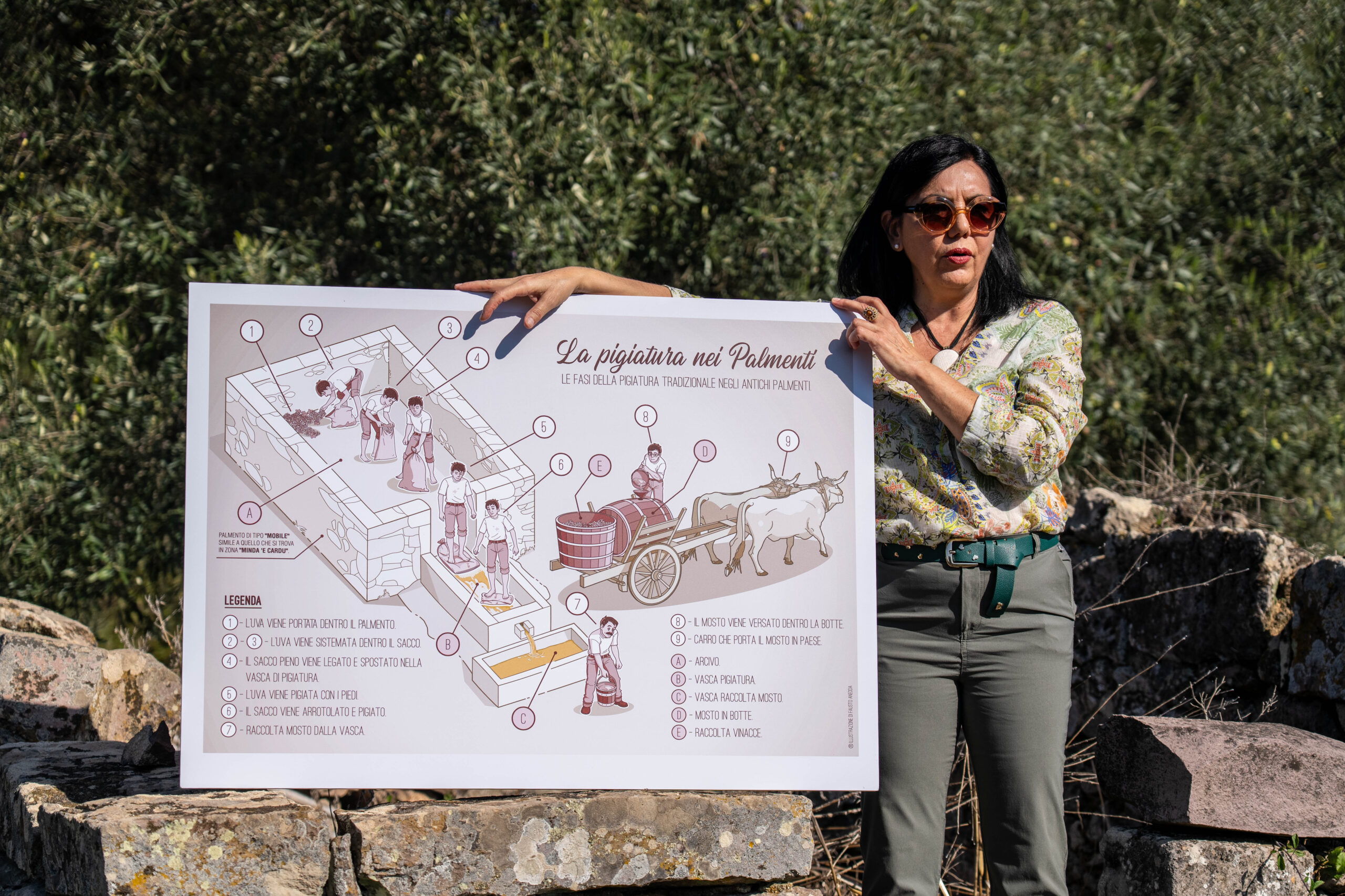 I palmenti rupestri di Neoneli tra archeologia e territorio 